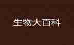 生物教师月工作总结范文6篇