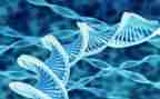 初二生物教师个人总结8篇