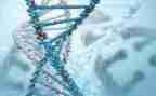 生物教师年度总结个人总结6篇