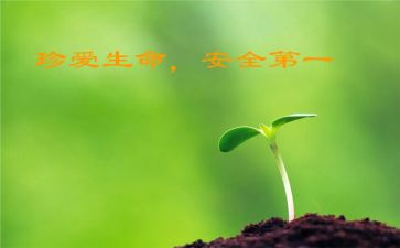幼儿班级安全教育总结6篇