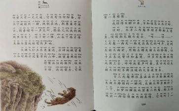 斑羚飞渡,读后感最新7篇