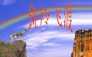 斑羚飞渡,读后感通用5篇