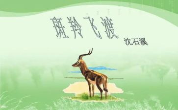 斑羚飞渡,读后感7篇