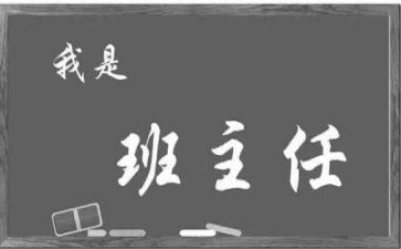 初中班主任工作总结总结8篇