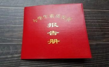 教师报告册学期总结5篇