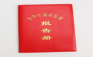 素质报告册个人总结8篇