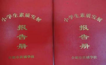 发展报告册个人总结8篇