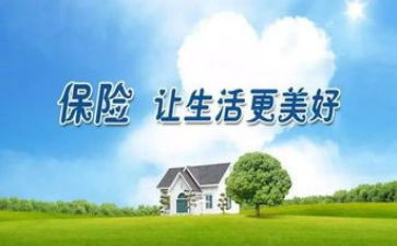 2022年上半年保险公司工作总结6篇