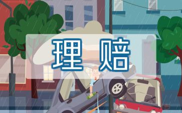 最新保险个人总结8篇