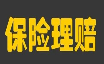 保险年终个人总结5篇