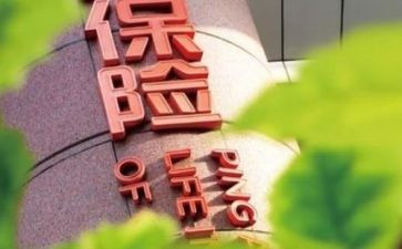 保险公司转正个人总结5篇