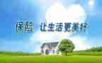 2022年上半年保险公司工作总结6篇