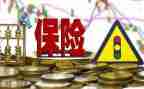 有关保险的工作总结7篇