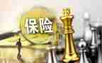 保险业务员的工作总结6篇