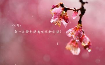 幼儿教师八月份工作总结5篇