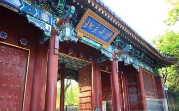 北大学生年终总结7篇