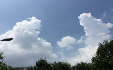 我变化的作文600字参考8篇