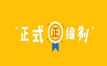 入编制的个人总结8篇