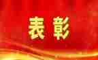 脱贫攻坚总结表彰大会观后感5篇