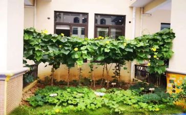 蔬菜水果采购合同5篇