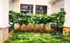 炒蔬菜教案最新7篇