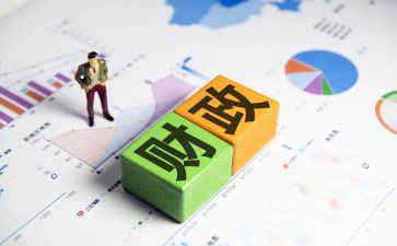 2022年财政个人总结6篇