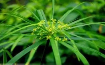 2023烟草员工工作总结8篇