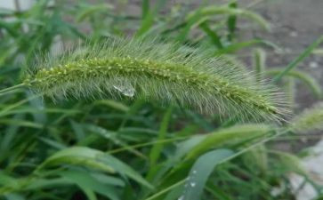 烟草月工作总结8篇