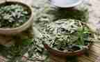 黑茶调研报告6篇