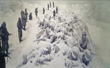 观长津湖电影心得体会模板5篇