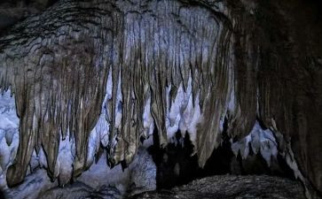 《我的“长生果”》教案8篇