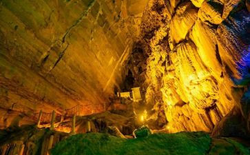 我的长生果教学反思7篇