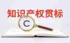 2023知识产权活动总结7篇