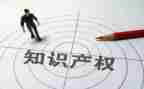 宣传知识产权活动总结6篇