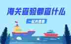 2023预防接种证查验工作总结8篇