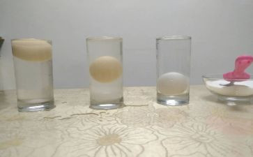 蛋的沉浮小班教案6篇