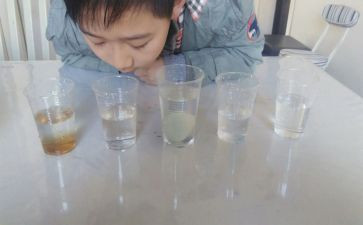 中班沉浮教案8篇