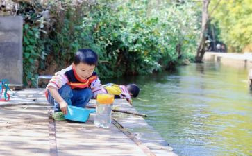 蛋的沉浮教案通用7篇