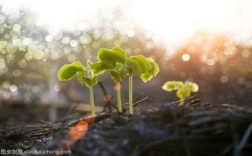 我成长作文600字推荐7篇