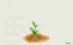 成长作文600字推荐5篇