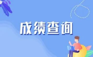 工作成绩教师总结6篇