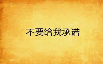 2024年公开承诺书推荐8篇