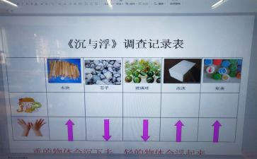 幼儿活动沉与浮活动总结模板5篇