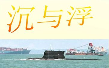沉与浮教案活动总结7篇