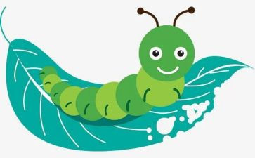 中班瓢虫美术教案8篇