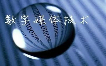 传媒公司试用期工作总结6篇