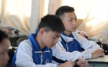 优秀初二班主任工作总结8篇