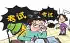 初级专业职称工作总结8篇