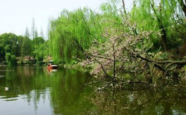学生春节活动总结5篇