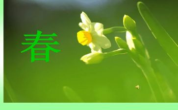 小学生过春节作文7篇